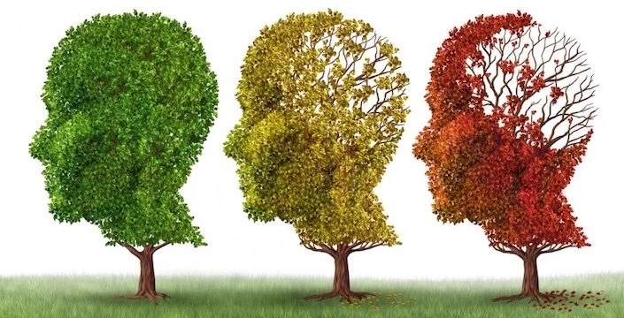 A group of trees with different colors in the shape of a person's head.