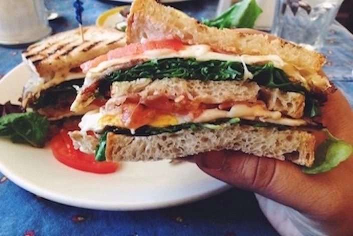 A person is holding up a sandwich on a plate.