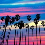 Palm trees silhouetted against a colorful sunset.