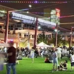 A group of people walking around in a grassy area at night.