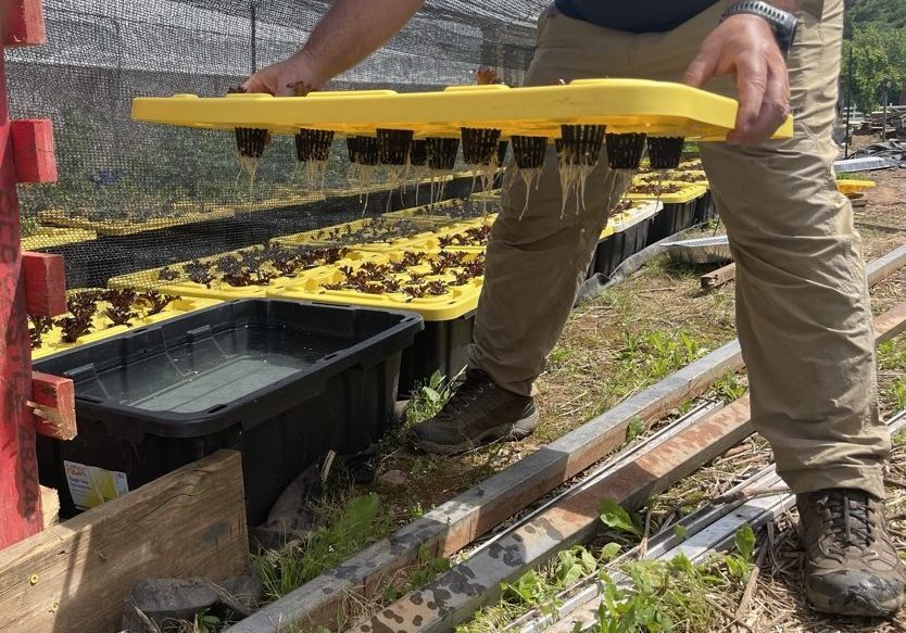A man is holding a tray full of hydroponics seeds.