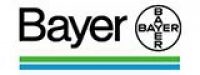Bayer logo on a white background.