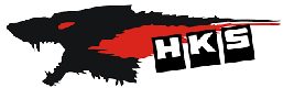 Profile picture for hks.