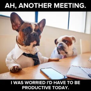 Two dogs dressed in business attire sit at a desk with a laptop and notebook, with text above and below joking about meetings and productivity.