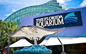 A statue of a stingray in front of the florida aquarium.