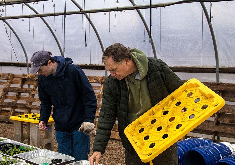 Two men working in a greenhouse with plants.