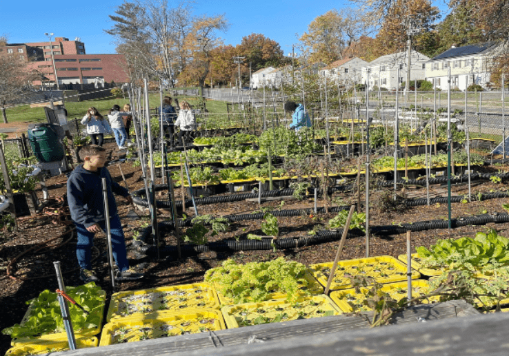 A group of people working in a hydroponics garden, seeking donation.