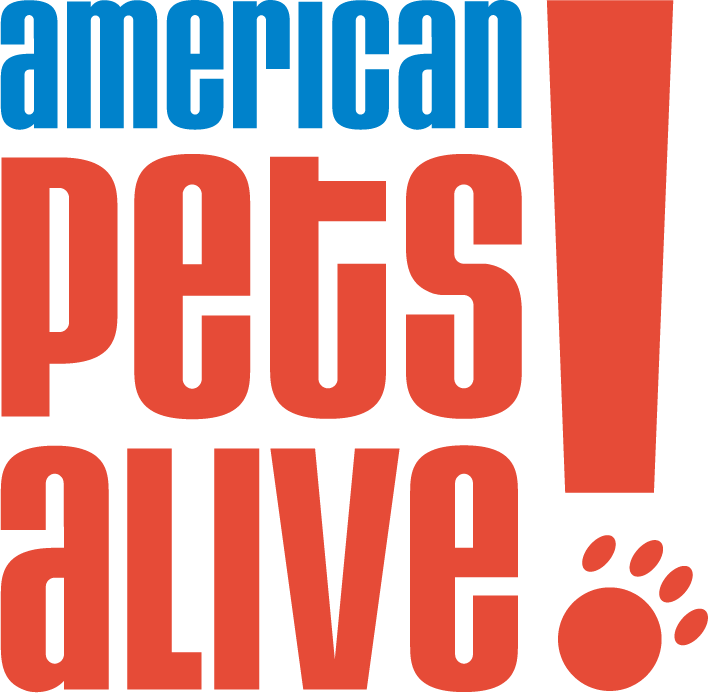 Logo for American Pets Alive! featuring blue and red text with an exclamation mark and a paw print as part of the design.