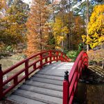 A red bridge over a pond in a japanese garden.
