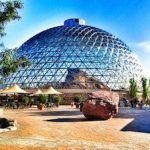A large glass dome in the middle of a park.